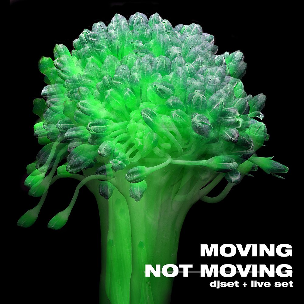 movingnotmoving2 (1)